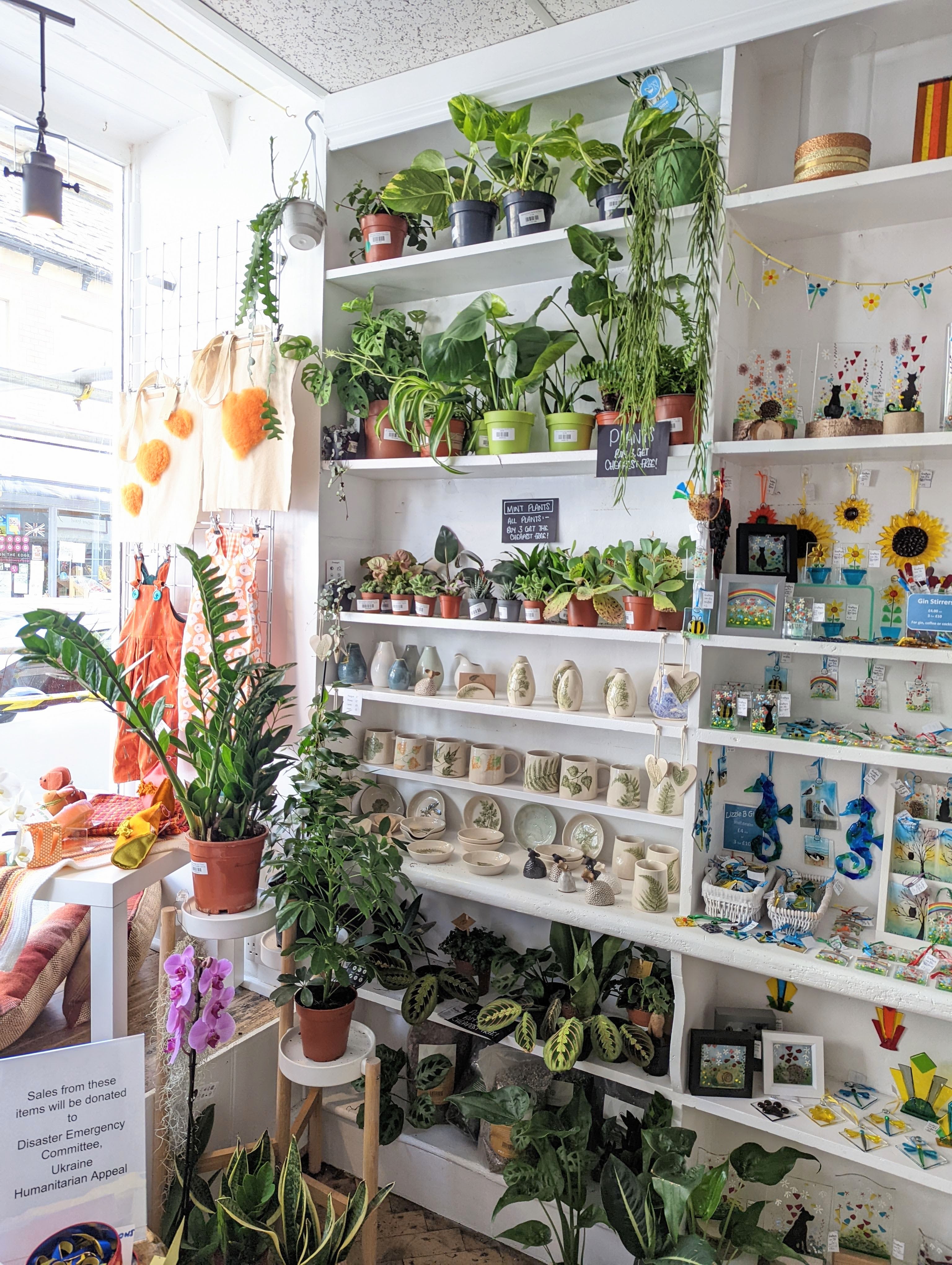 Crafters, Wotton under Edge Mint Plants