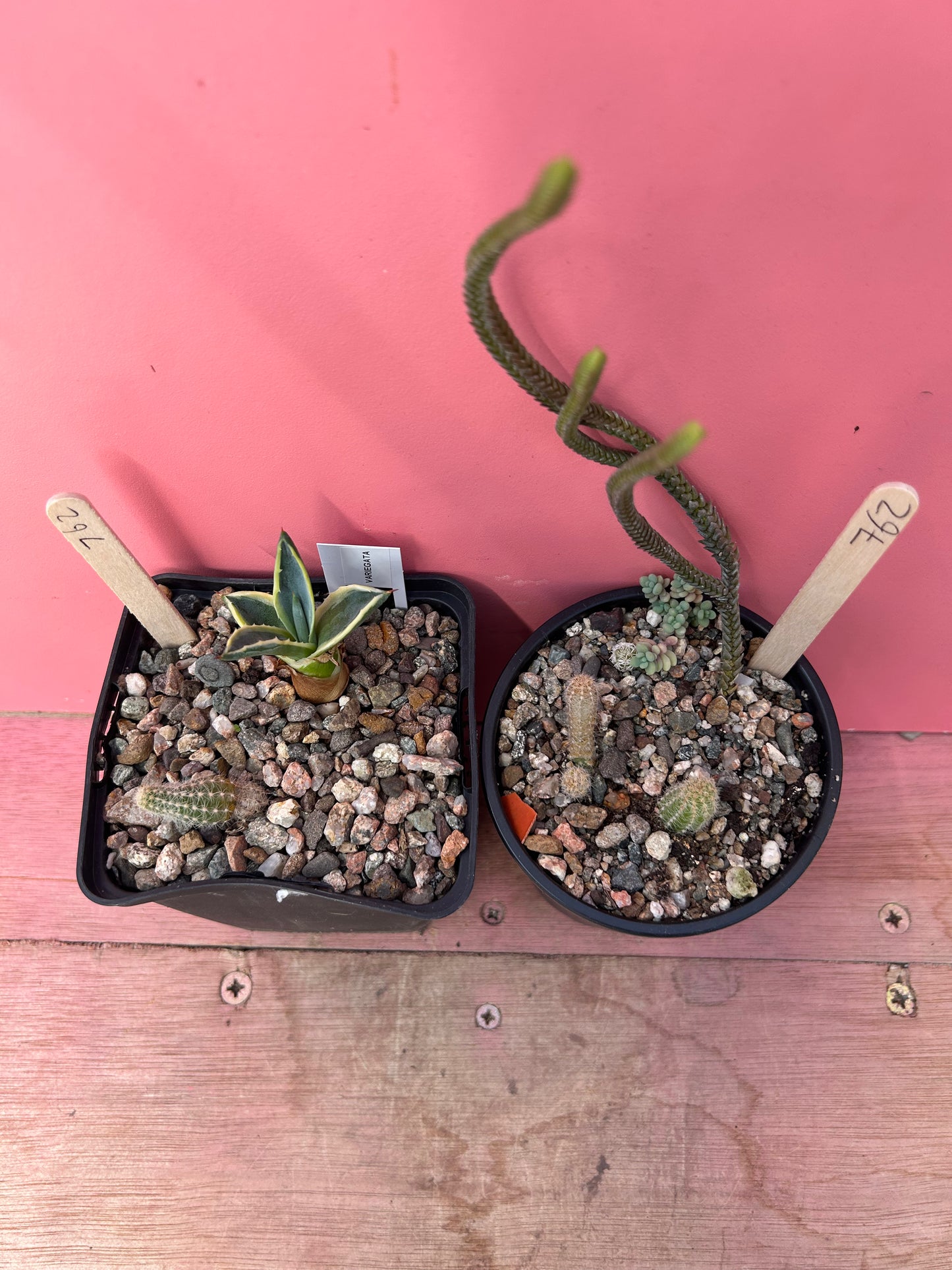 Job lot 2x pots (762)