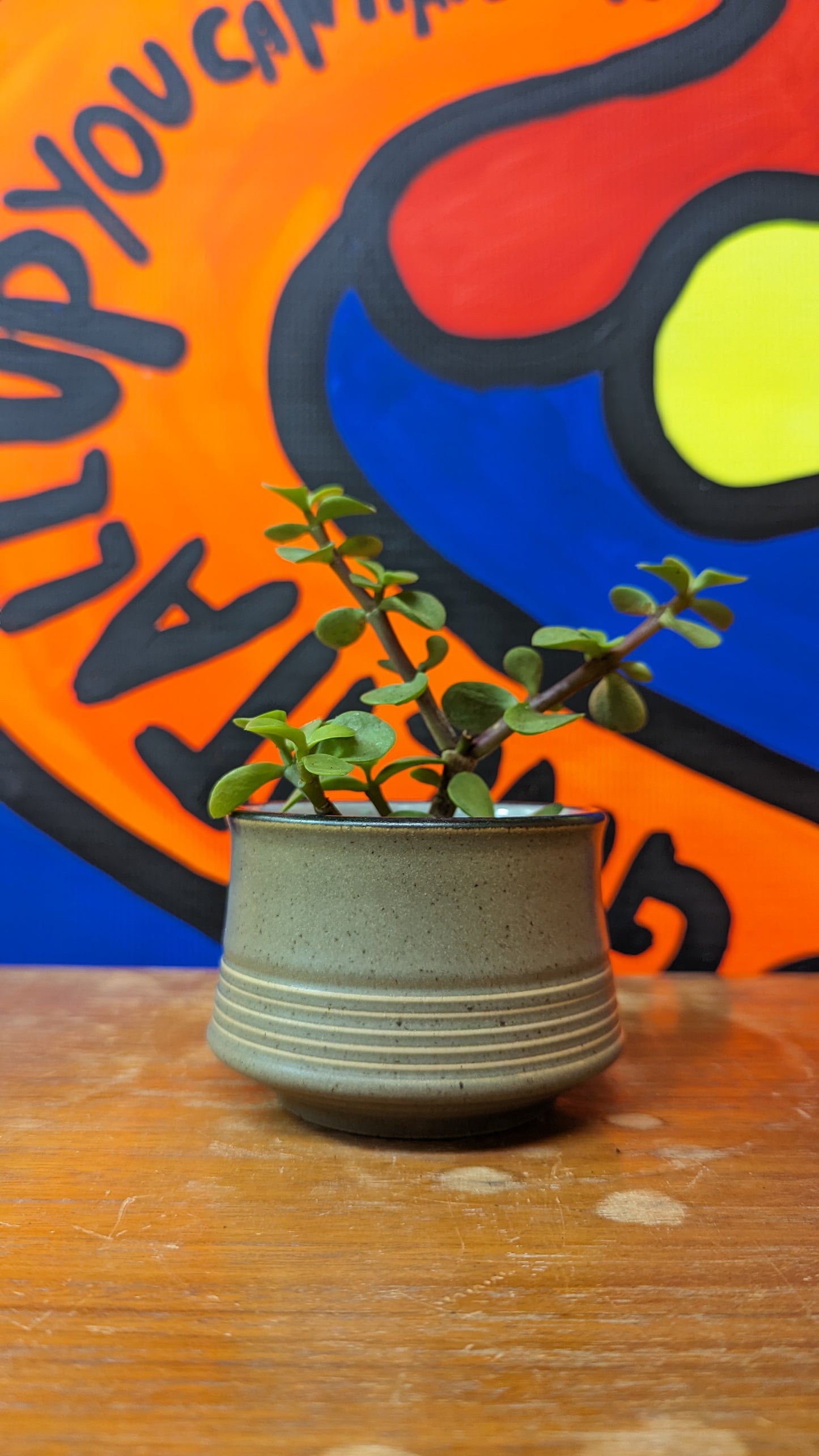 Vintage ribbed pot