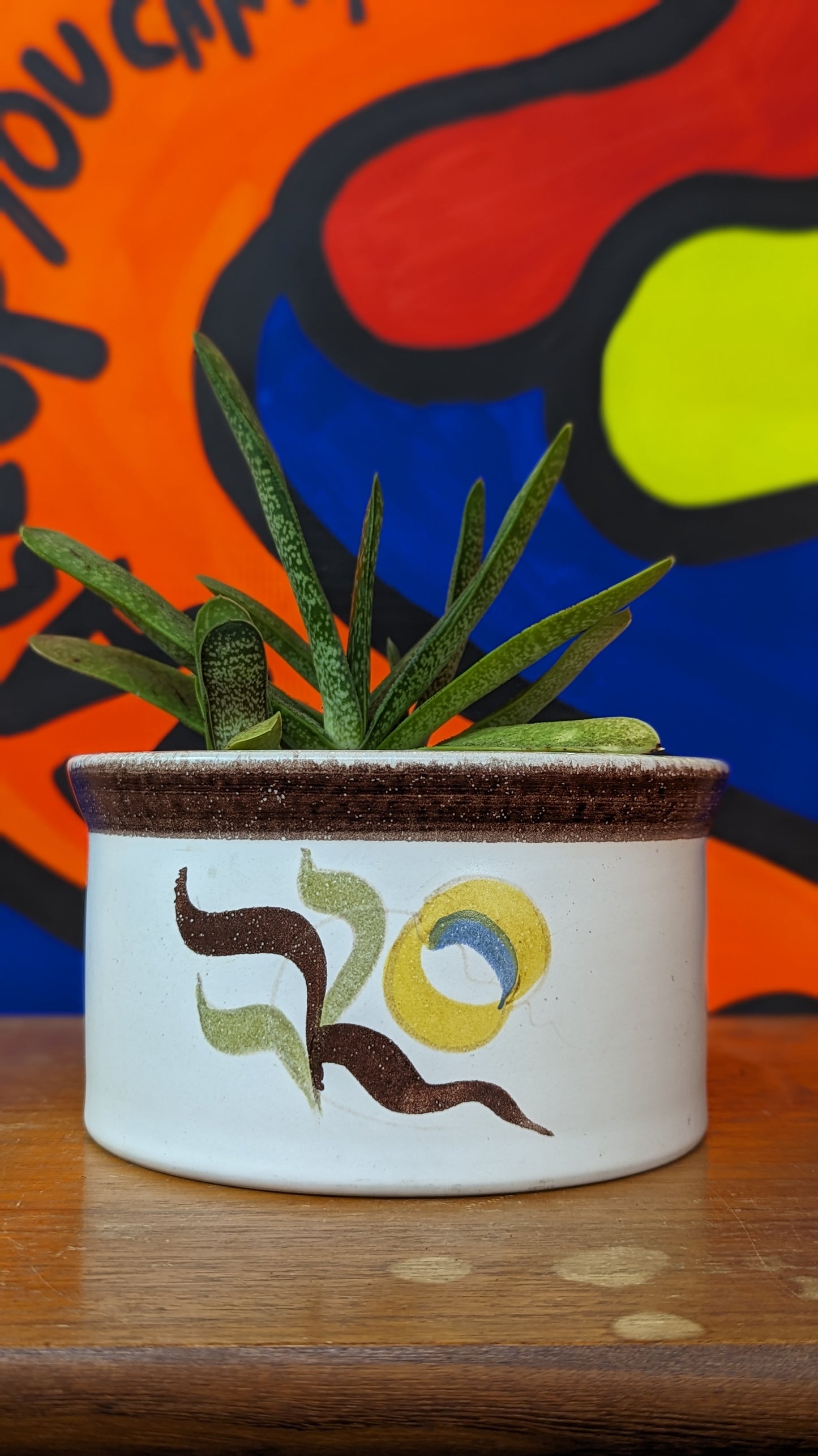 Vintage Denby planter