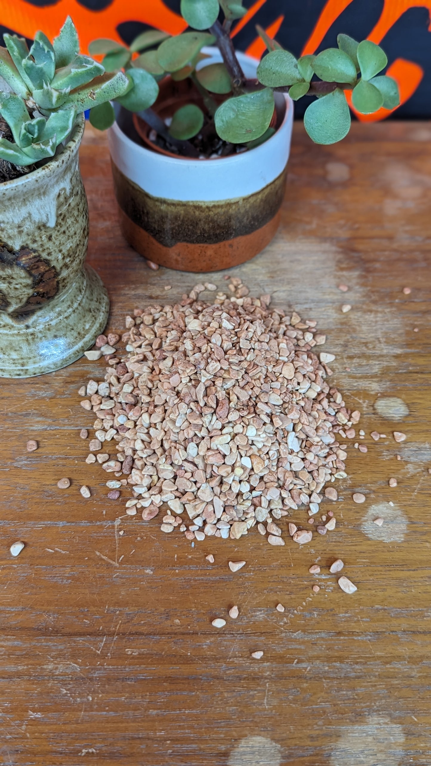 Top Dressing: peach aquarium gravel