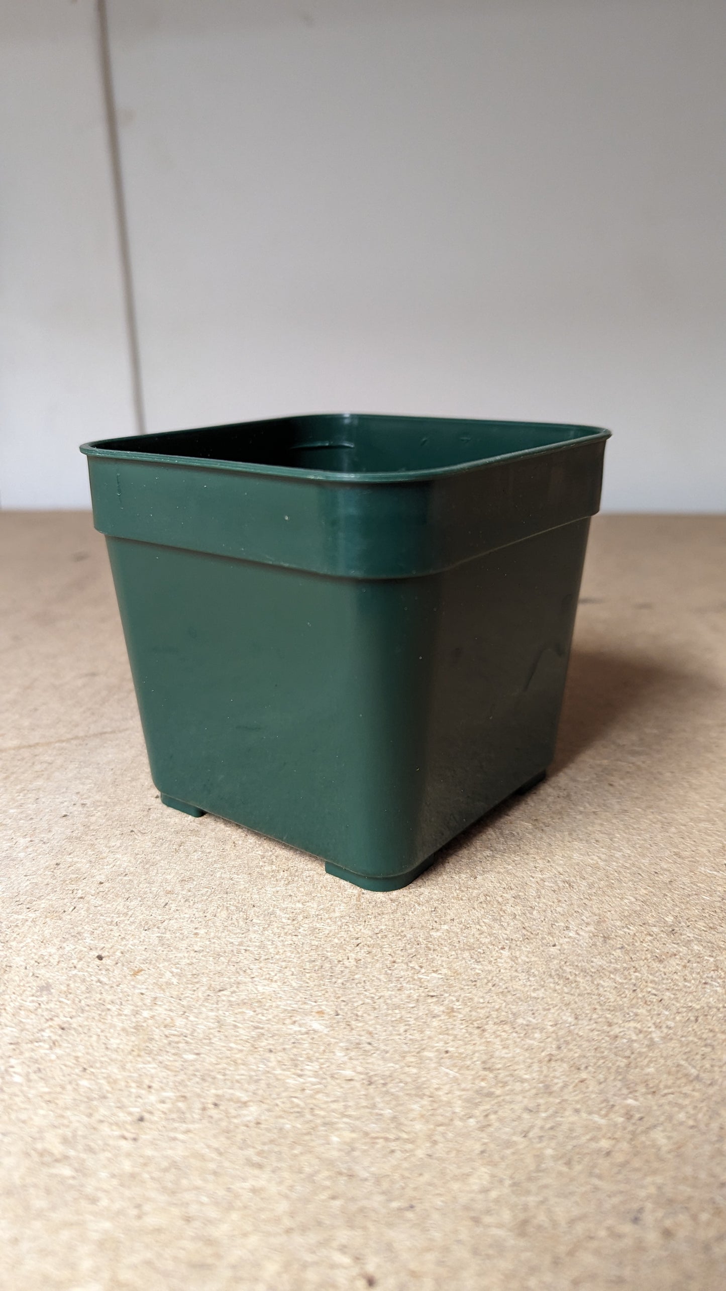 B.E.F. Growers Pot Green - 10cm (4 inch) Square pack of 10