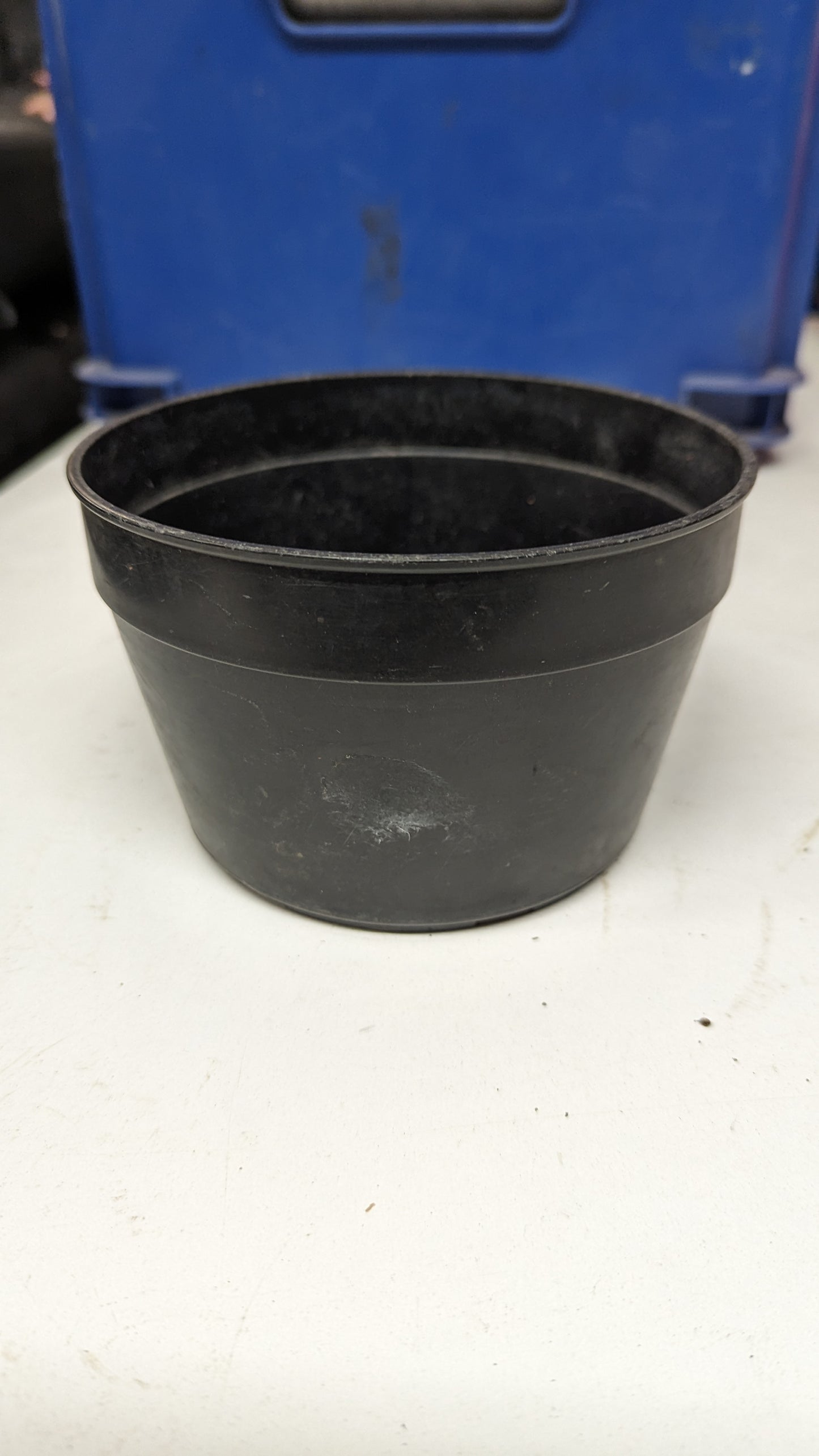 B.E.F. Growers Pot Black - 14cm (5.5 inch) Round Shallow pack of 10