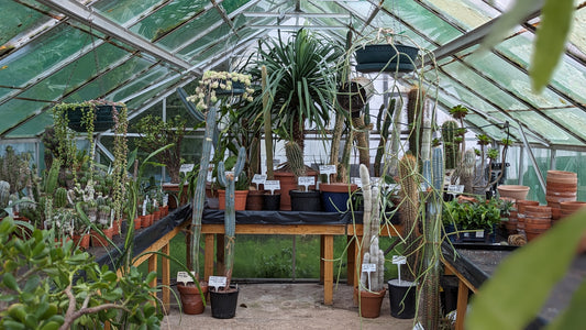 Elmtree Farm