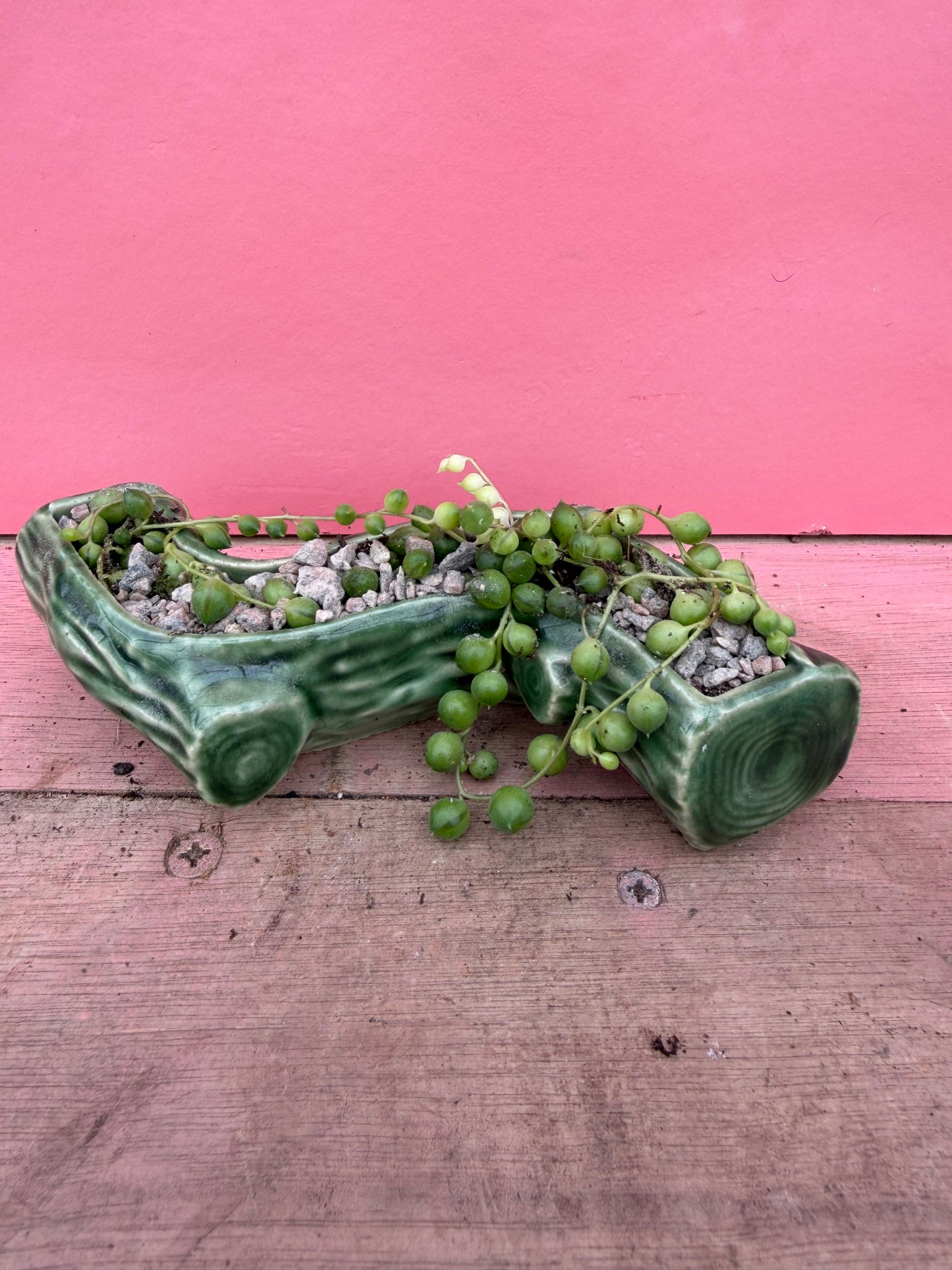 String of Pearls in Vintage Wade Pot