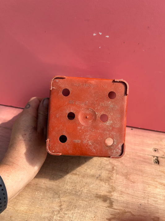 4 1/2 Square 4" Deep B.E.F Growers pot PACK OF 11