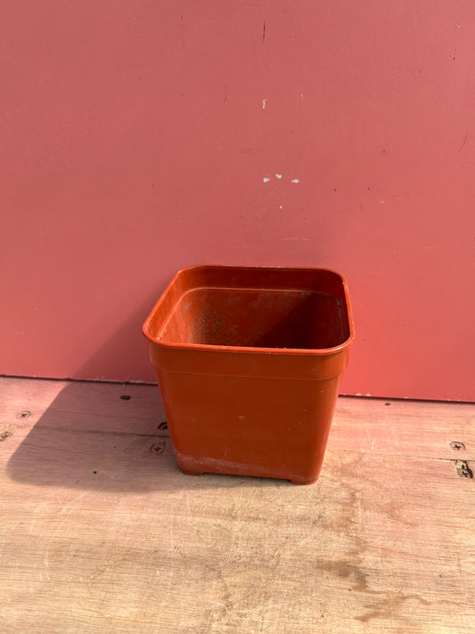 4 1/2 Square 4" Deep B.E.F Growers pot PACK OF 11