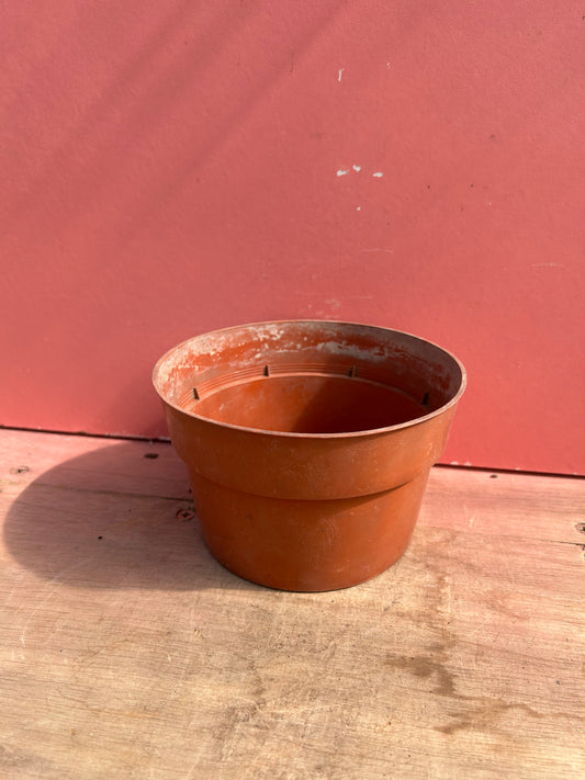 Congleton plastic Co.LTD 14D pots PACK OF 10