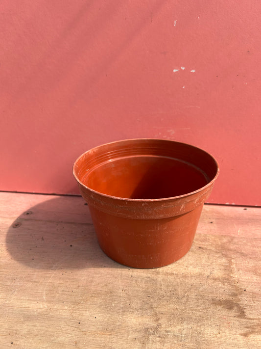 Richard Sankey & Son LTD 5" Pan JOB LOT
