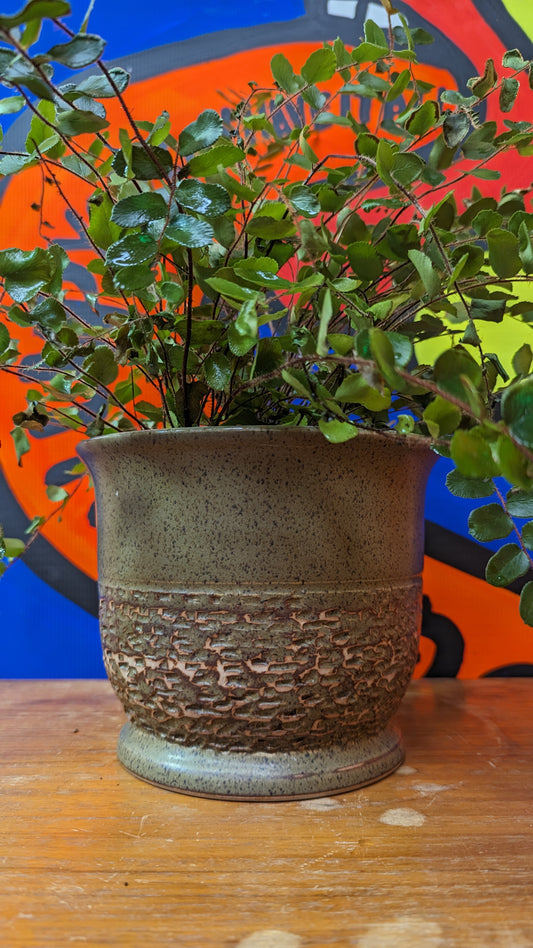 Vintage green/brown textured pot