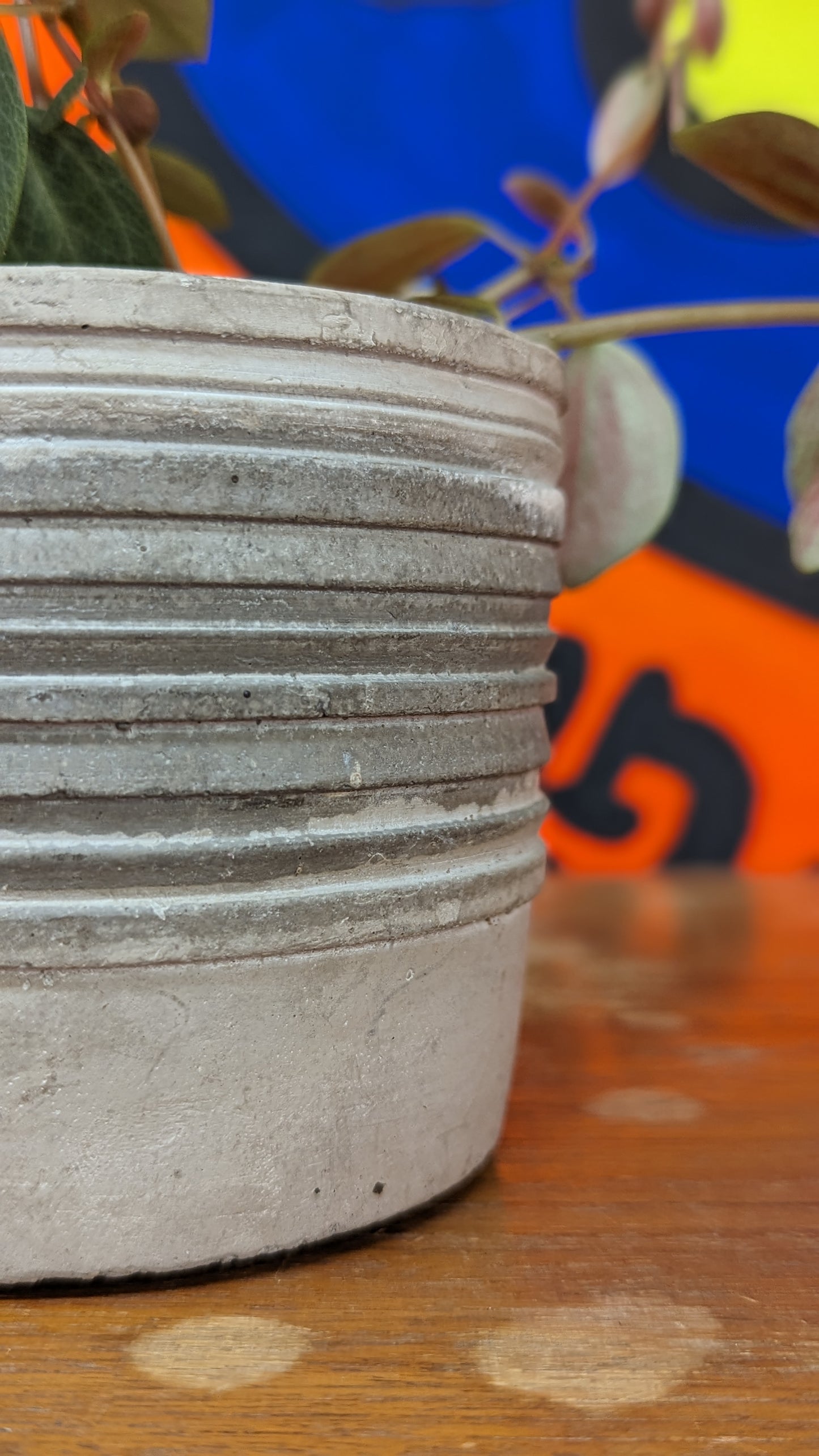 Concrete cylinder pot