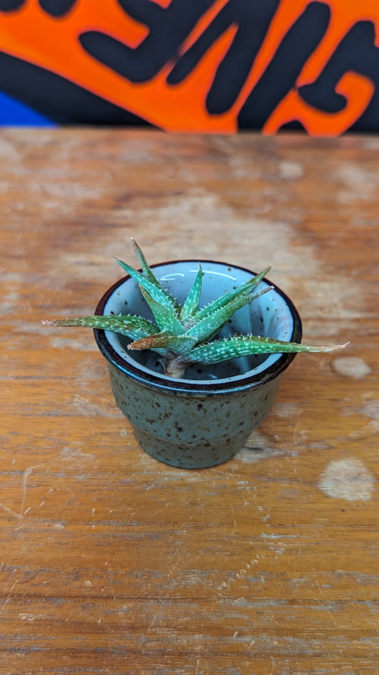 Vintage speckled egg cup