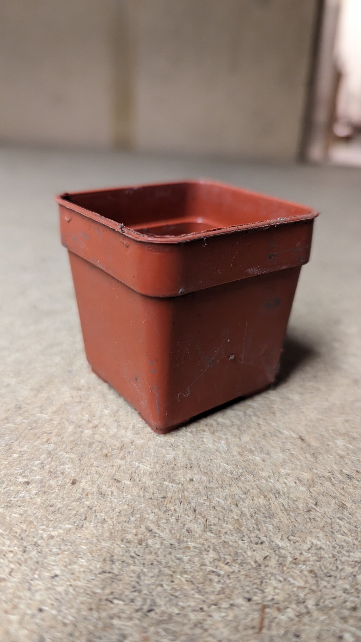 B.E.F. Growers Pot Orange - 5.5cm (2 inch) Square