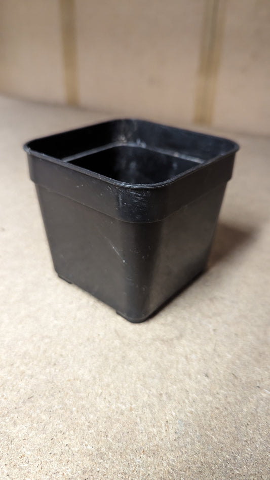 B.E.F. Growers Pot Black - 10cm (4 inch) Square