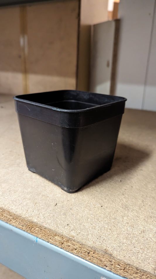 B.E.F. Growers Pot Black - 12cm (4.5 inch) Square