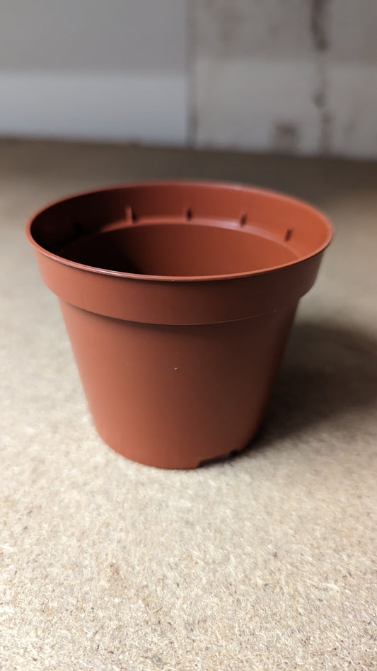 KUMA Biodegradable Pot - 8.5cm Round