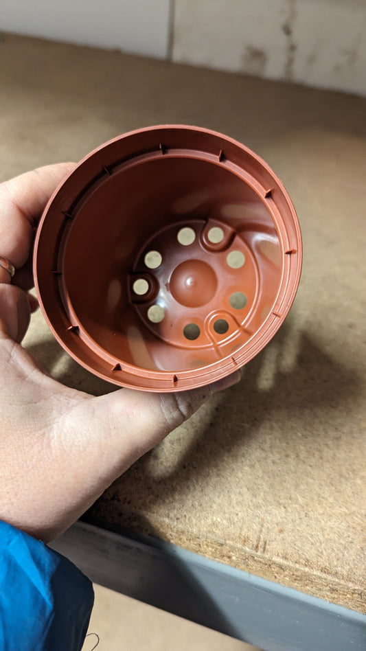 KUMA Biodegradable Pot - 8.5cm Round