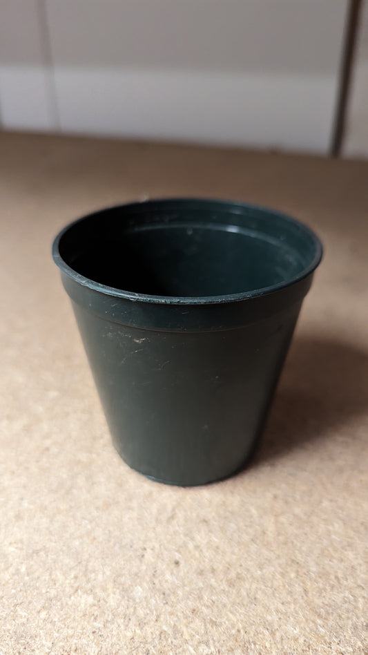 B.E.F. Growers Pot Green - 8cm (3 inch) Round