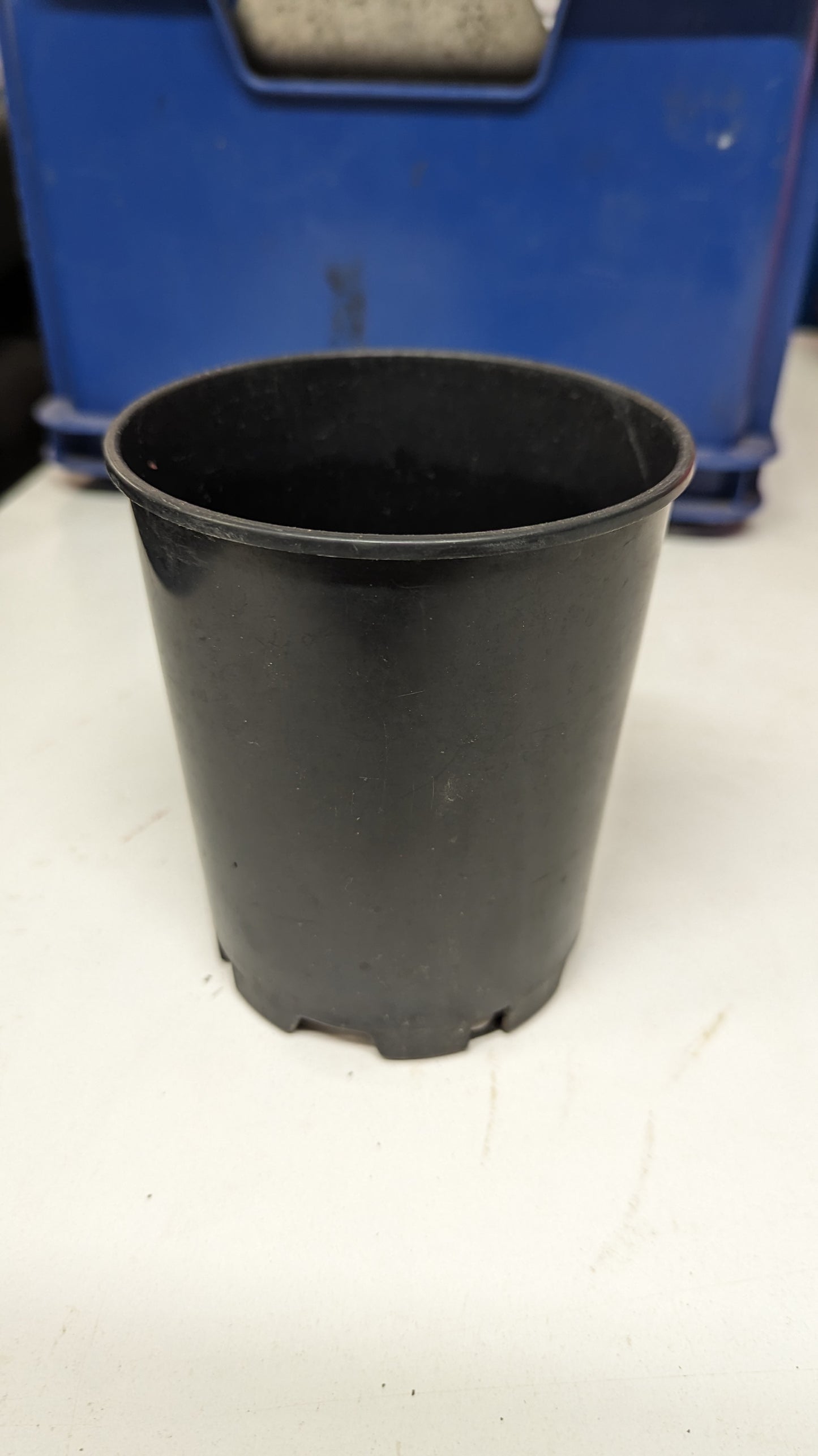 INTERPLAST Deep Pot - 12cm Round