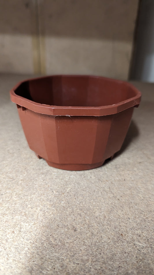 SOPARCO Cactus Bowl - 12cm