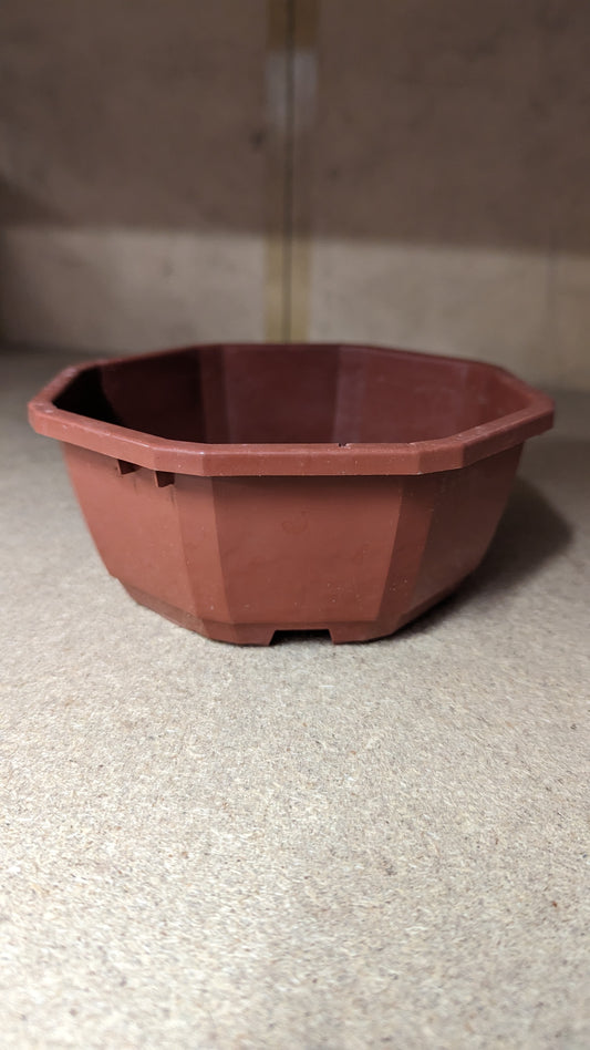 SOPARCO Cactus Bowl - 16cm