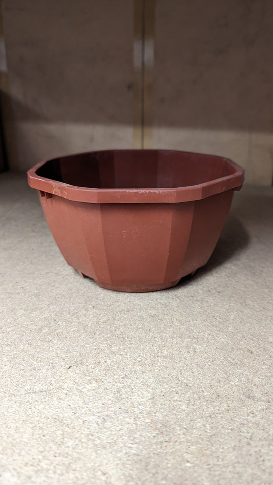 SOPARCO Cactus Bowl - 18cm