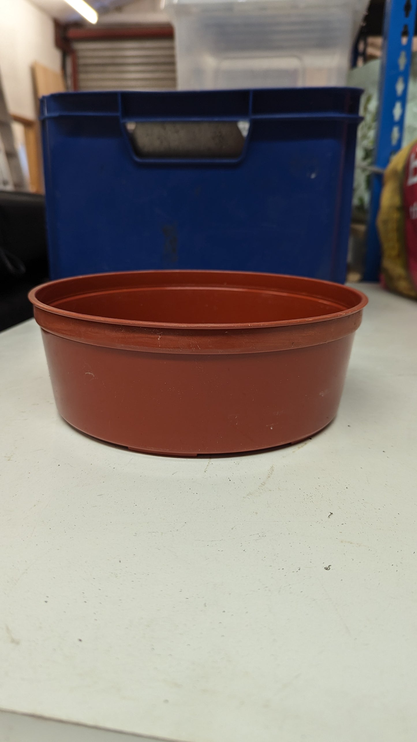 B.E.F. Growers Pot Orange - 22cm (8.5 inch) Round Shallow