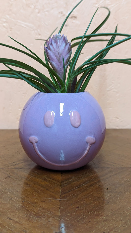 Smiley pot purple