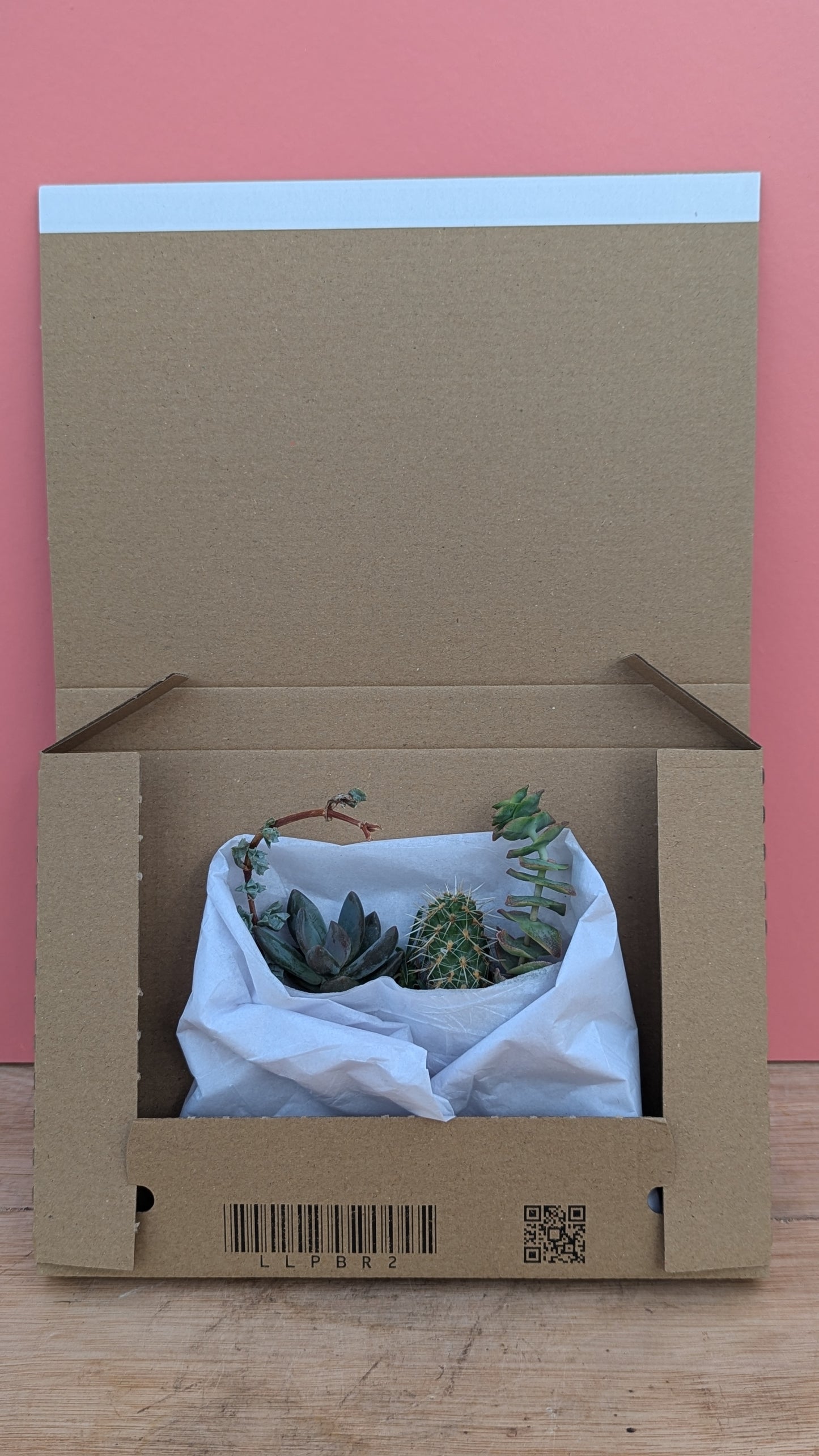 Cuttings Box