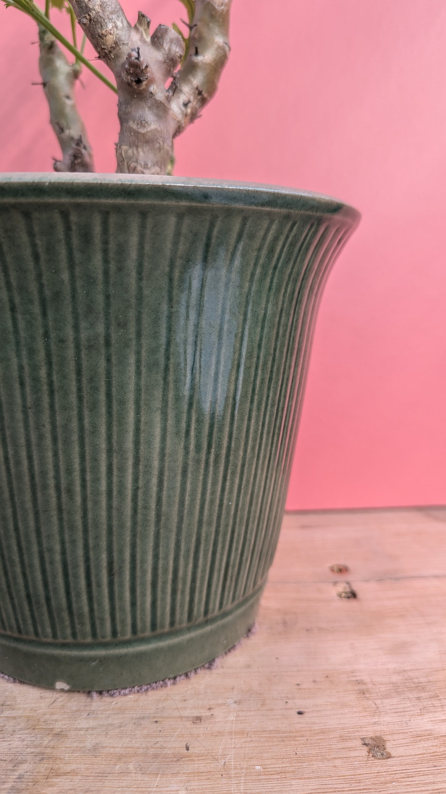 Stoneware pot in glazed green