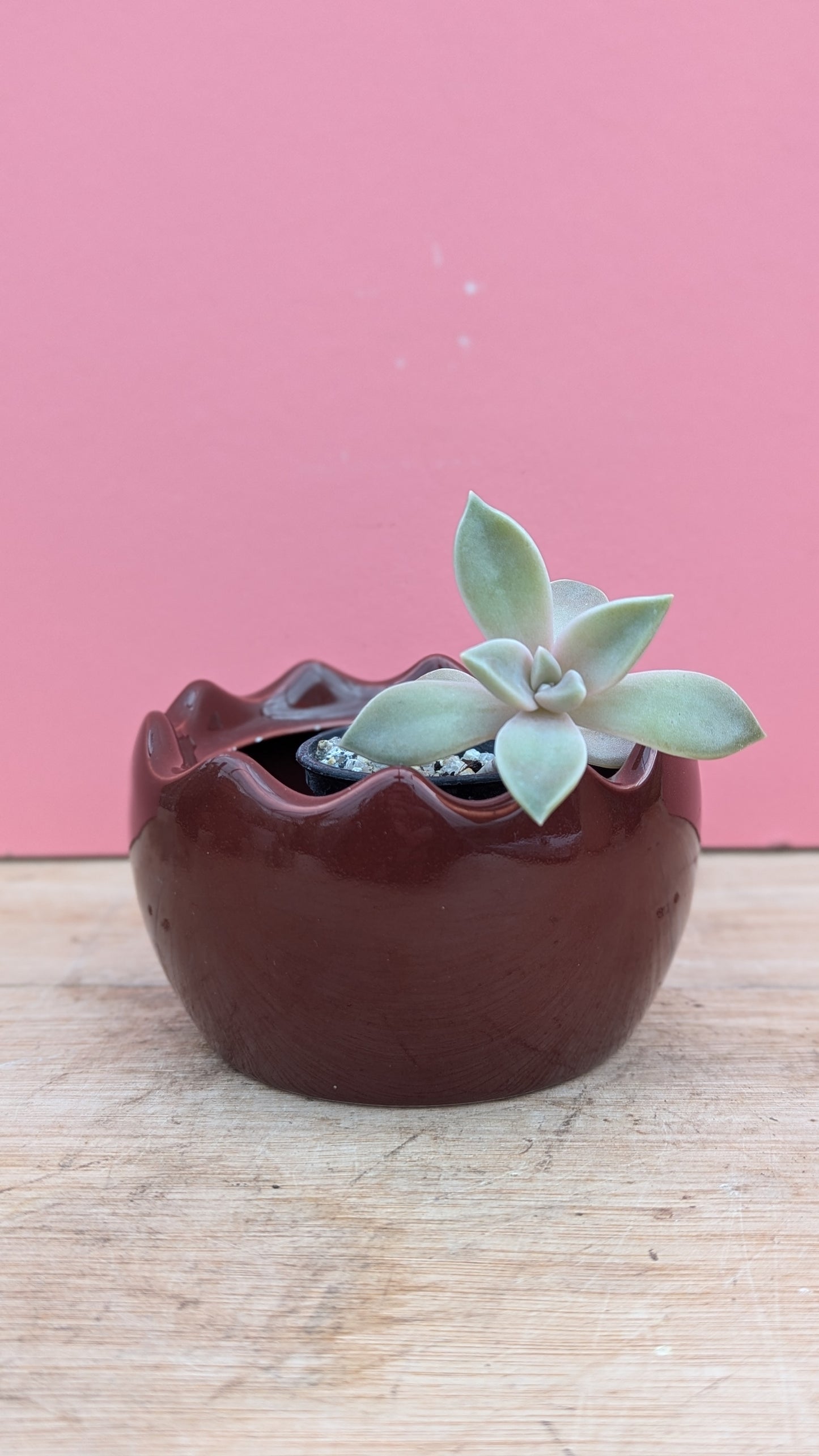 Brown rippled sugar bowl