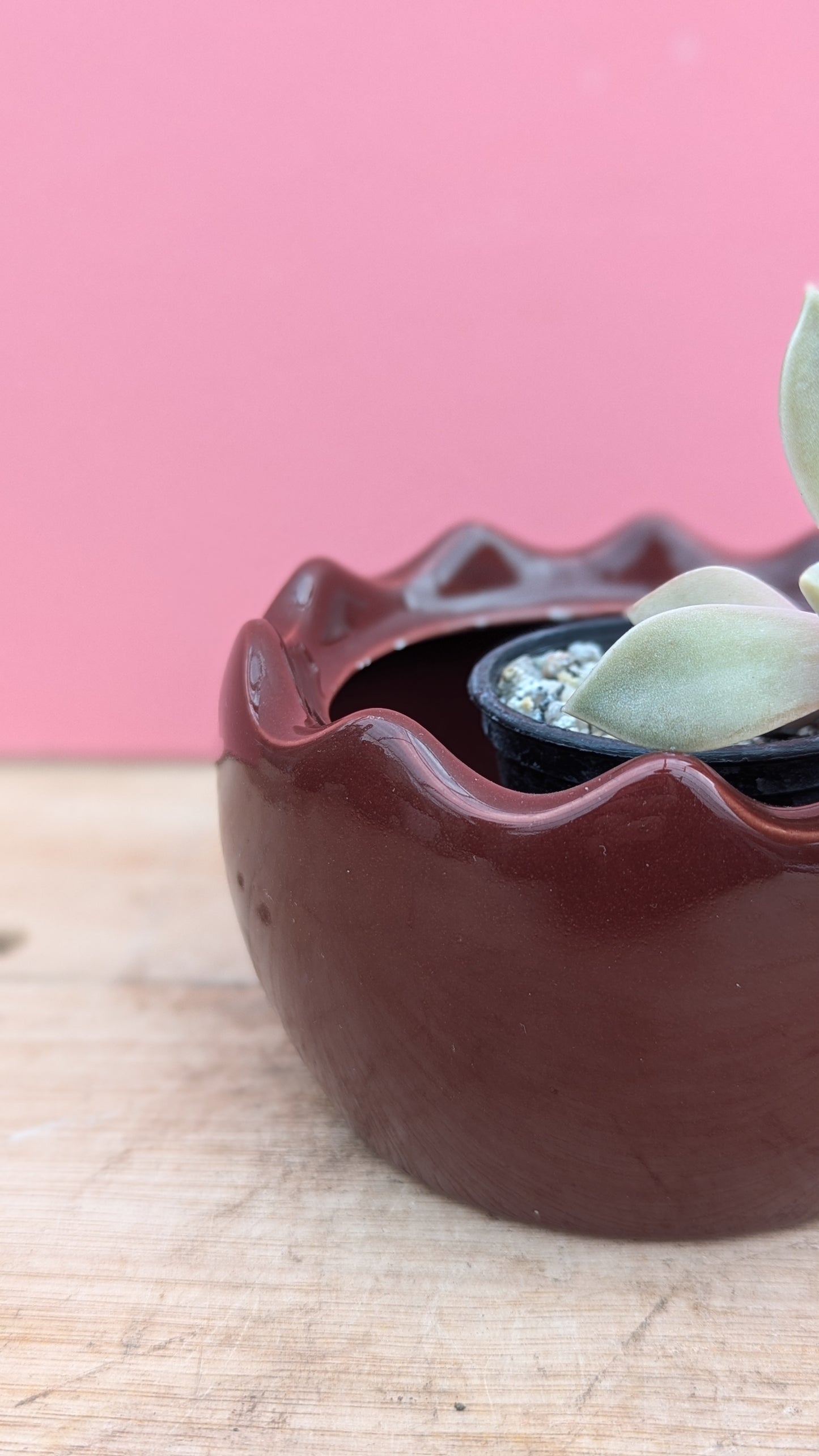 Brown rippled sugar bowl