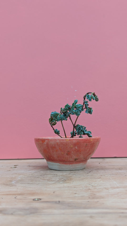 Glazed pot in red speckle