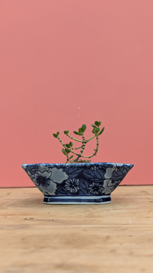 Vintage dish in floral blue