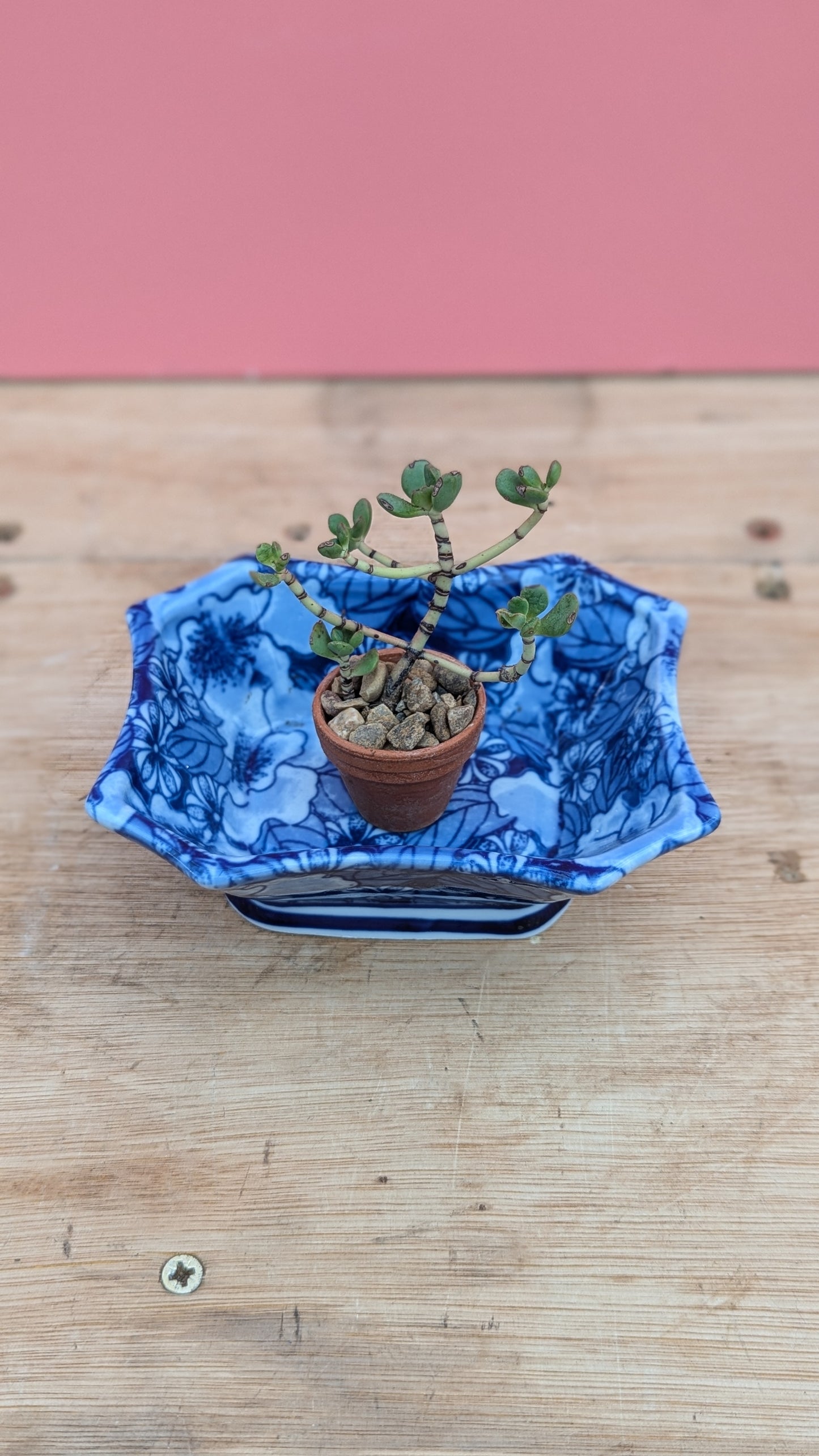 Vintage dish in floral blue