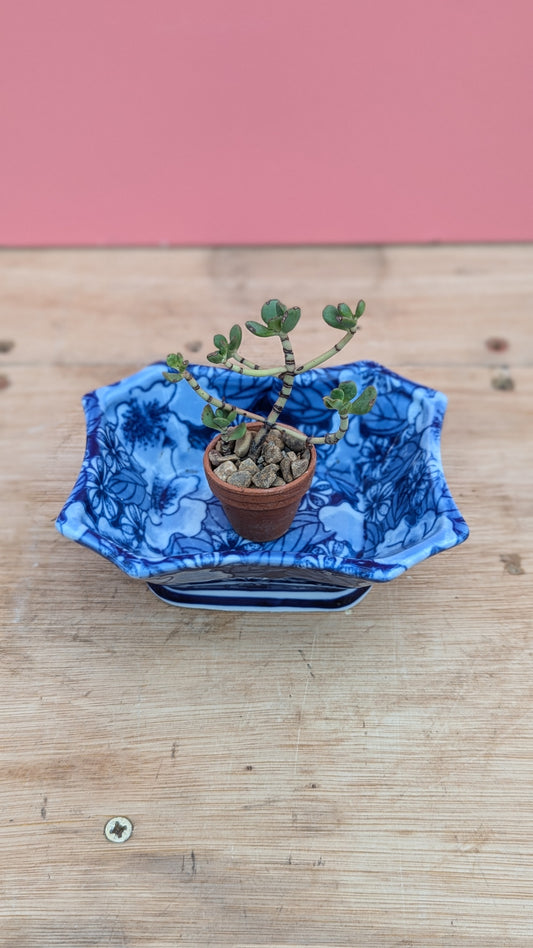 Vintage dish in floral blue