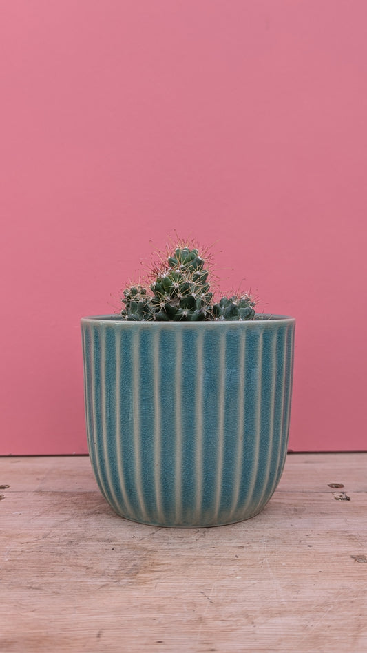 Blue ribbed pot