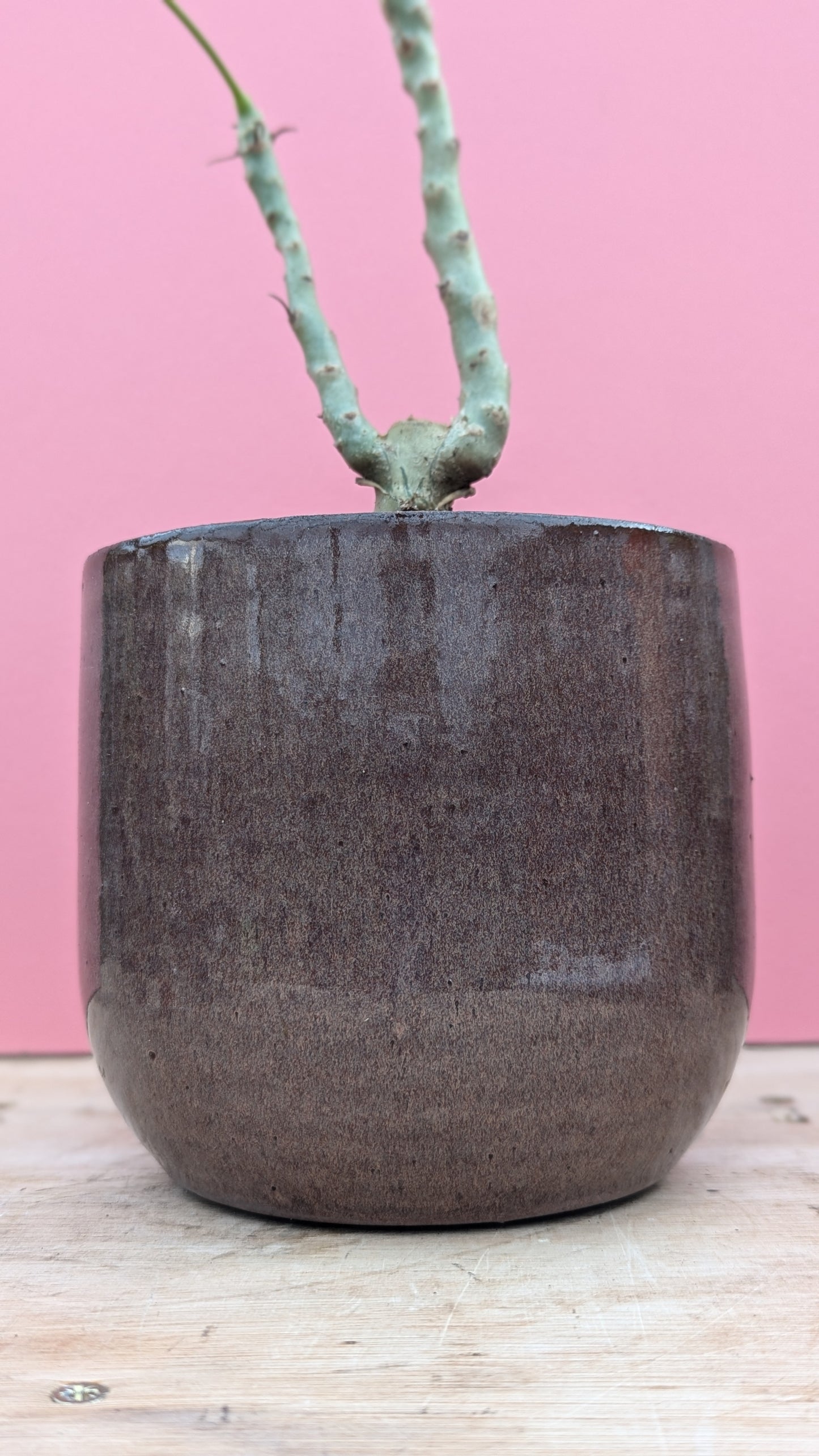 Brown glazed chunky pot