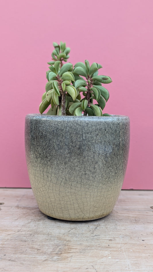 Crackle glaze pot in grey/green