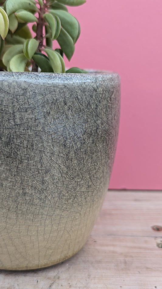 Crackle glaze pot in grey/green