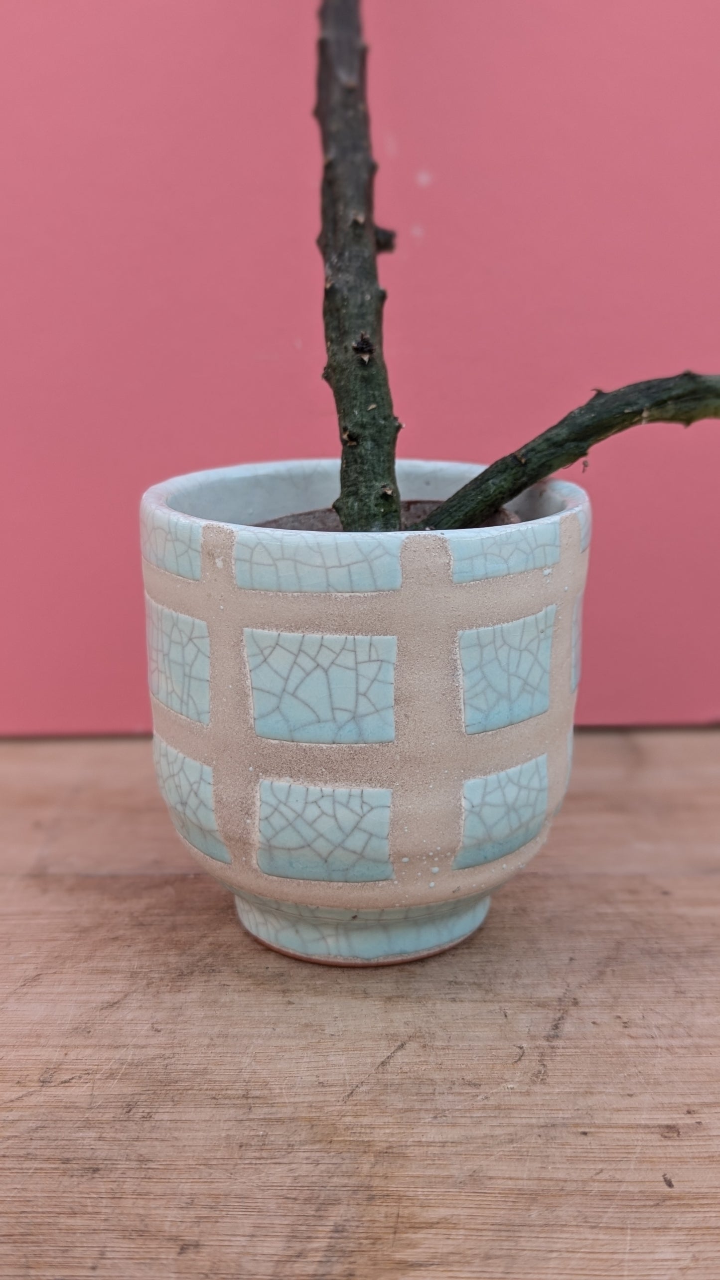 Mini pot in blue