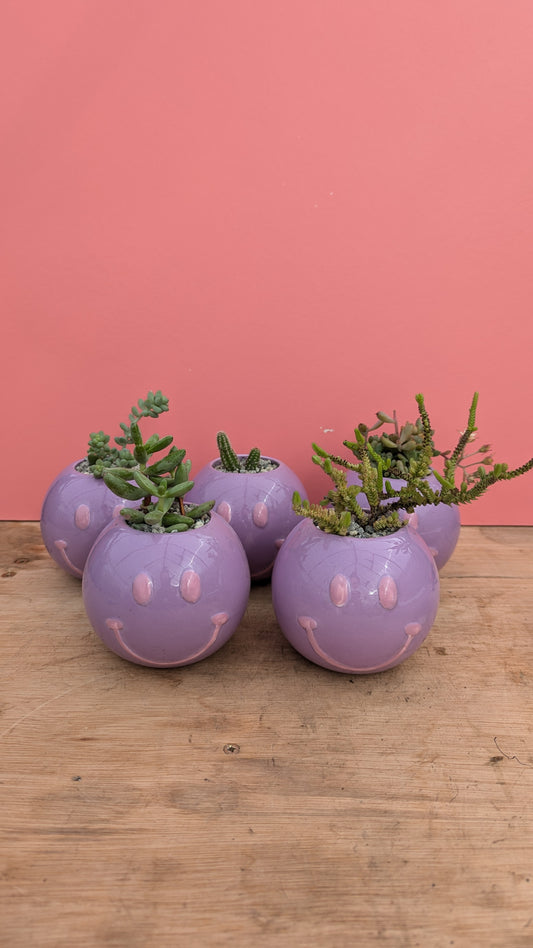 PREPOTTED: Smiley Face Purple