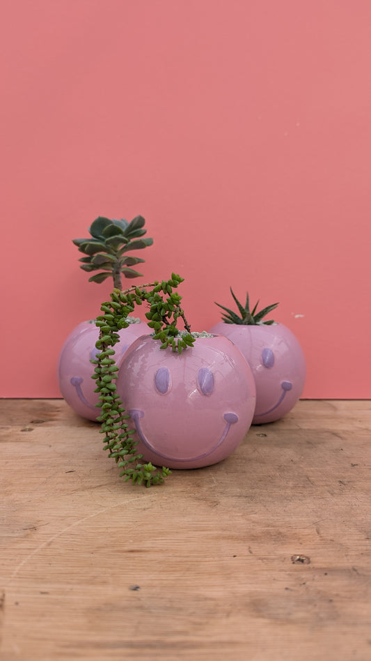 PREPOTTED: Smiley Face Pink