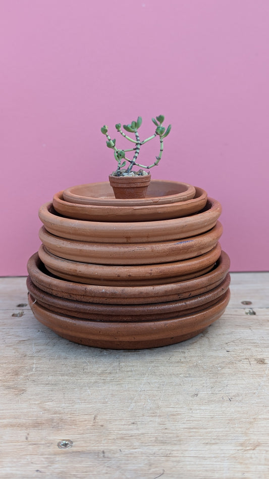 Terracotta saucer - 11cm