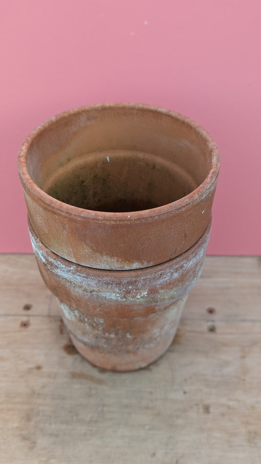 Terracotta pot tall lipped - 16cm