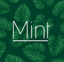 Mint Plants